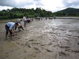 11SAEDA SRS replenting9