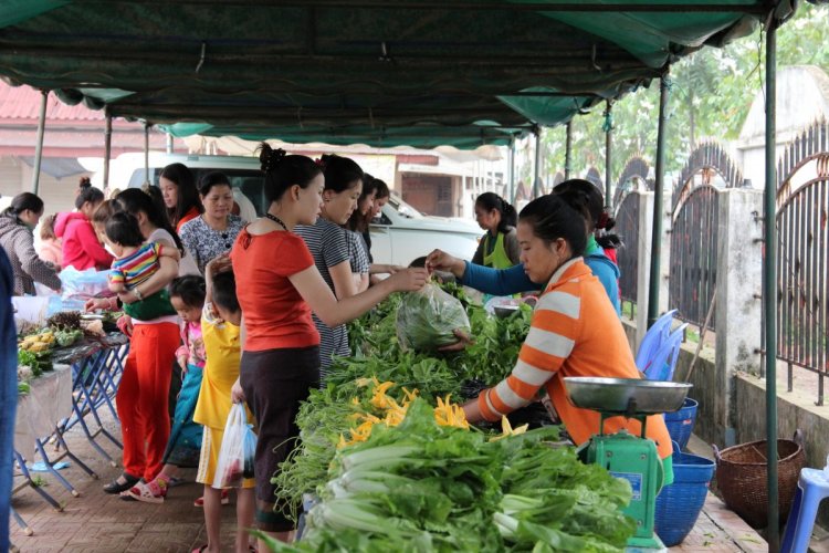 4SAEDA organic market2