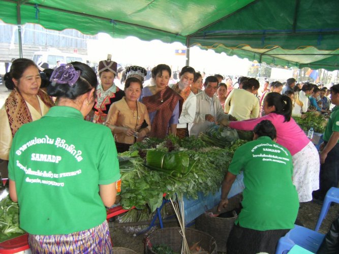 9SAEDA Rice and SA workshop in XKH 220