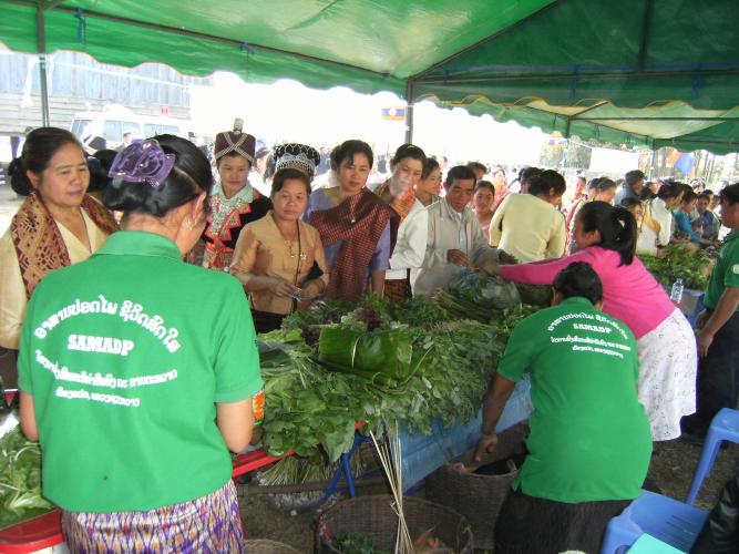 Rice and SA workshop in XKH 220