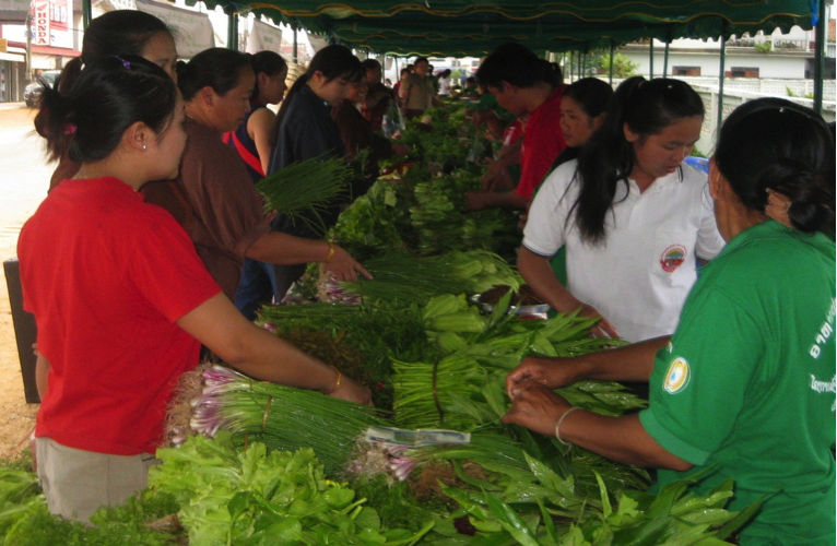 SAEDA-Organic market in Xiengkhouang